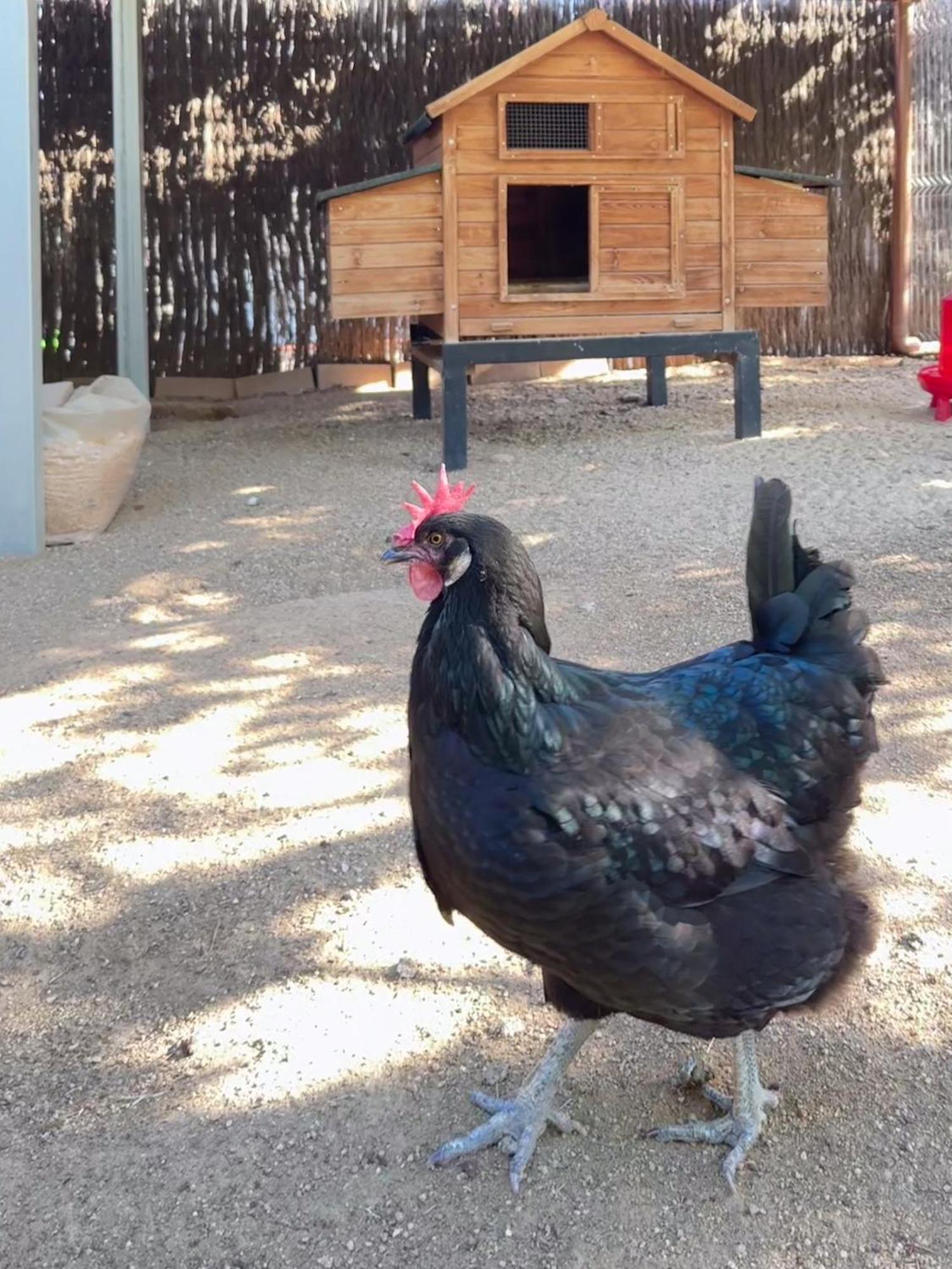 ホテル Rincon De Piedra Bcn Corro de Vall エクステリア 写真